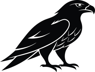 Obraz premium Eagle hawk raptor bird standing profile graphic