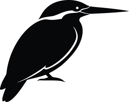 Kingfisher bird graphic logo design illustration
