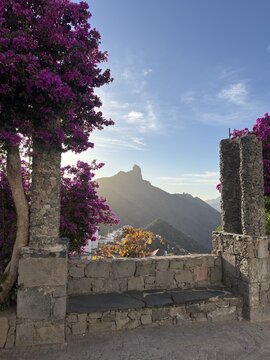 Colorful blooming flowers framing the dramatic mountain peak above Tejeda village in Gran Canaria, Canary Islands, Spain.
