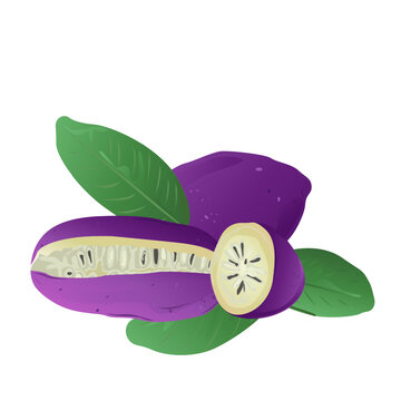 Akebi Fruit Whole Half Slices Exotic Food