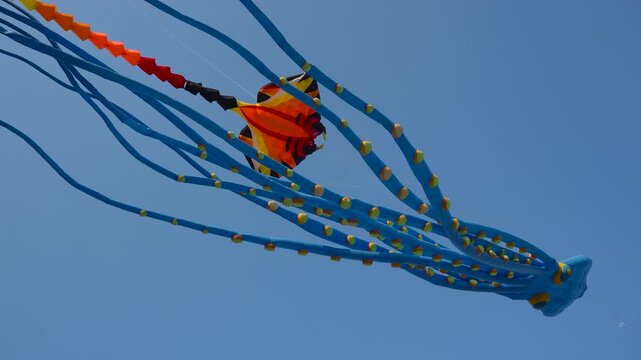 Colorful kite festival with giant inflatable kites flying in blue sky, outdoor event with large animal shaped squids and whales floating in wind under clouds 4k