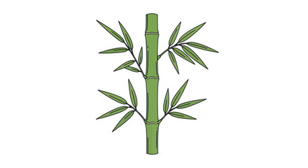 Illustration of a green bamboo stalk with leaves © Kental