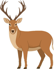 Obraz premium A majestic stag with impressive antlers stands proudly against a white background, showcasing its elegant form and warm brown coat.