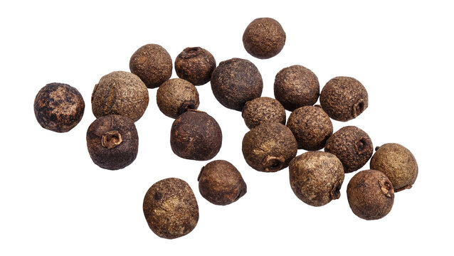 Dried allspice berries with natural texture, isolated on cutout transparent background