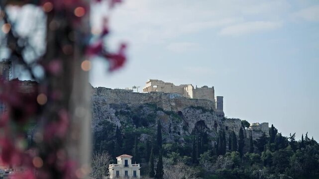 Spring in Athens, cinematic view of bloomed flowers and 
Acropolis at background and Erechtheion with Monument of Agrippa