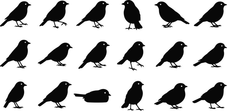 Bird Silhouette Collection with Various Standing and Perching Poses, Minimal Black Songbird Set for Wildlife Illustration, Icons, and Graphic Design