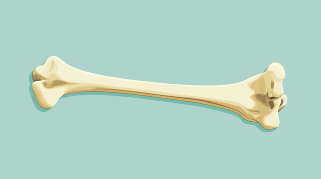 A digitally rendered bone lies horizontally against a soft turquoise backdrop with subtle shading