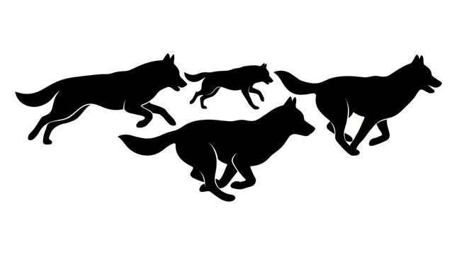 Black Silhouette of Running Wolves Pack on White Background