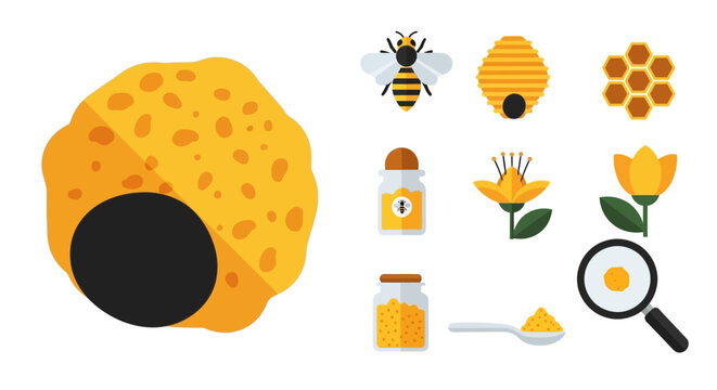 Honey bee hive and honeycomb elements.