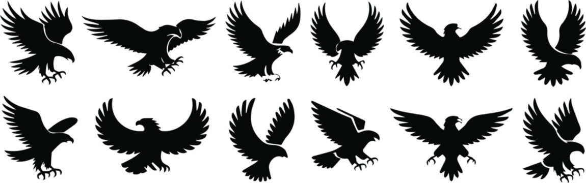 Eagle silhouettes hunting and talon poses