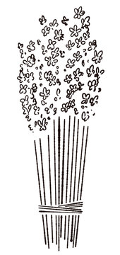 Large Monochrome Lavender Flower Bouquet Tied with String