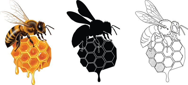 Set of honey bee and honeycomb illustrations featuring realistic silhouette and outline styles with dripping honey suitable for natural product branding and educational content
