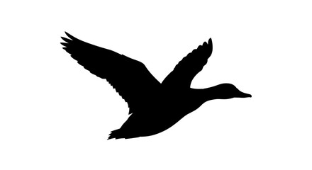 Flying goose silhouette against a white background © Kobita