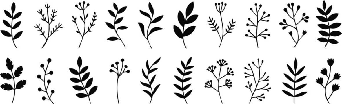 Herb and medicinal plant silhouettes for product labels