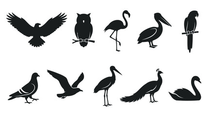 Fototapeta premium Flat silhouette icons of birds and fowl in various poses