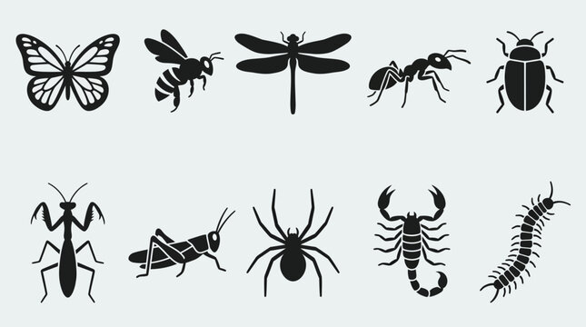 Flat silhouette icons of insects and arthropods