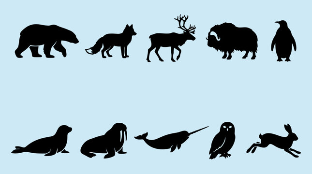 Flat silhouette icons of polar and cold-region animals