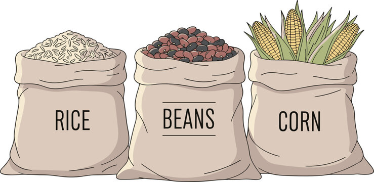 Illustration of bags filled with rice, beans, and corn, representing staple food ingredients in a minimalist vector style.