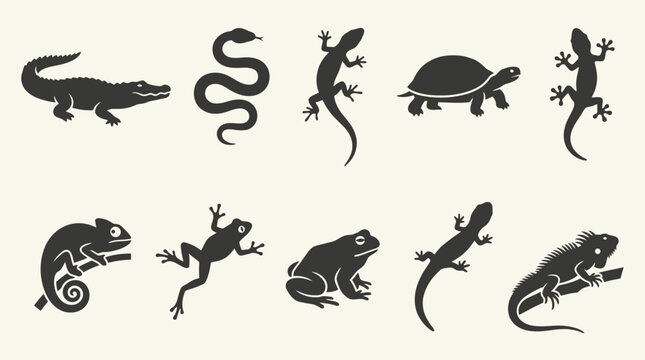 Flat silhouette icons of reptiles and amphibians in natural poses