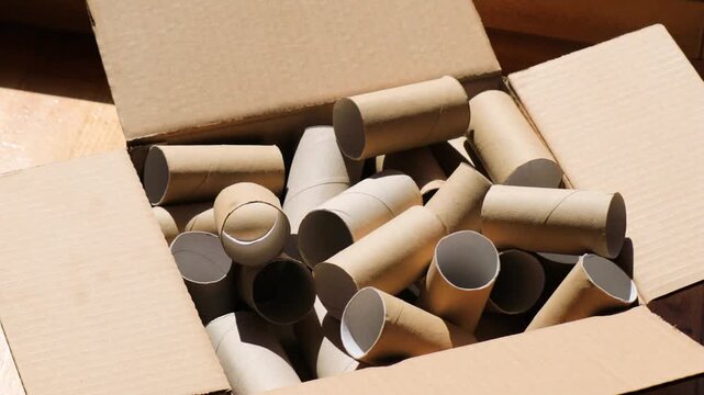Cardboard toilet paper rolls falling into box, recycling and eco concept, kraft paper tubes for seedling pots, gardening and planting use, sustainable zero waste lifestyle, reuse materials for garden