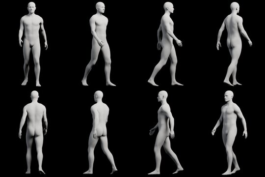 Mannequin figure model in various poses