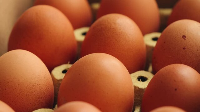 Farm fresh eggs in a delicate paper tray. Healthy nutrition and organic food concept. High quality 4k footage