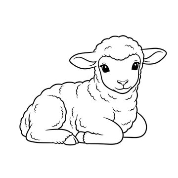 Cute baby lamb line art, a charming black and white outline illustration of a small sheep, perfect for children's coloring pages, farm animal themes, and educational graphics