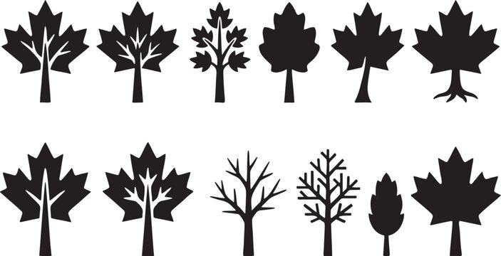 Minimalist Maple Tree Silhouette Icon Collection.