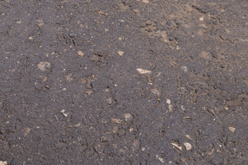 Wet asphalt surface after rain with small debris, urban texture background, gritty street pattern, rainy day. © Ekaterina