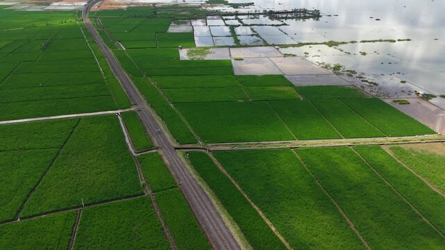 An aerial view of the still-functioning Dutch colonial railway crossing Lake Rawa Pening. The nostalgic tourist train route uses diesel locomotives and classic wooden carriages.