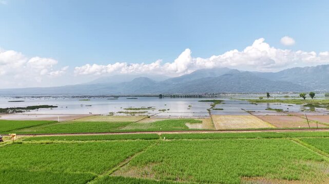 Aerial view of Rawa Pening is a natural lake in Semarang Regency, Central Java, located in the basin of the slopes of Mount Merbabu, Telomoyo, and Ungaran.