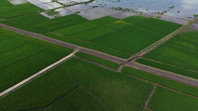 An aerial view of the still-functioning Dutch colonial railway crossing Lake Rawa Pening. The nostalgic tourist train route uses diesel locomotives and classic wooden carriages.