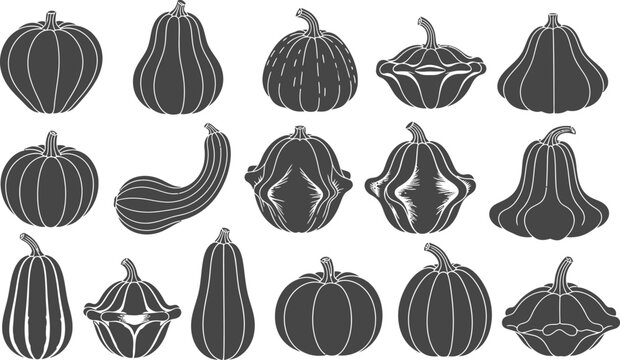 Variety of decorative gourds a black and white collection