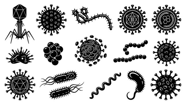 Medical Biology Black  White Glyph Set: Viruses, Bacteria, Microbes  Pathogen Icons