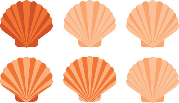 Seashell Collection Vector Set with Scallop Shells in Different Shades of Orange Beach Ocean Nature Flat Illustration Design