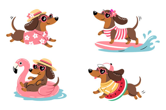 Cute dachshund summer activities set with surfing swimming relaxing and running in fun outfits and accessories cartoon illustration