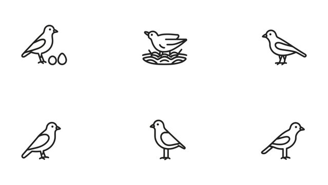 Bird Icon Set: A collection of simple, line-art icons depicting various bird poses and actions, including nesting and standing, presented in a clean, graphic style.
