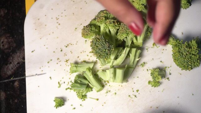 Fresh broccoli florets showcasing vibrant green color, packed with fiber, vitamins, and antioxidants, representing healthy eating, organic produce, and nutritious vegetable choices