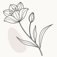 Obraz premium Clean Floral Contour