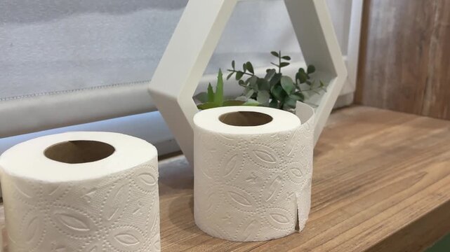 toilet paper on wooden shelf with hexagon frame and potted plant bathroom decor 