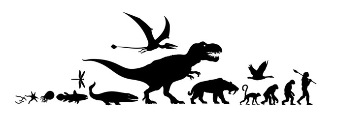 Evolution of life on Earth. Silhouette. © Olena