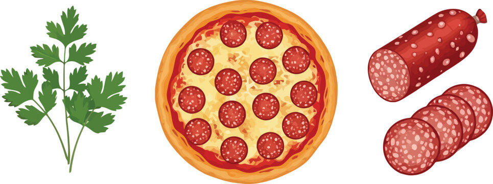 Pepperoni pizza with salami slices and parsley set Italian food ingredients composition vector illustration collection