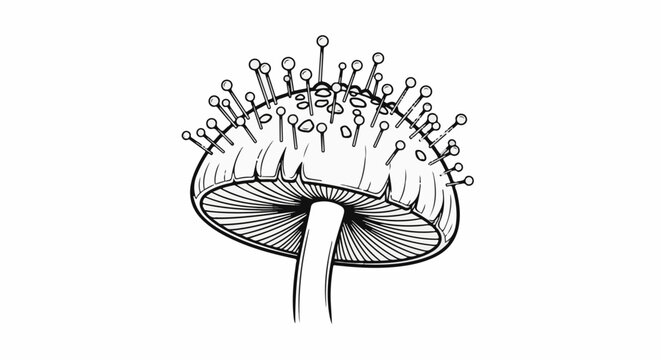 Detailed line drawing of a mushroom with numerous small, round-tipped pins protruding