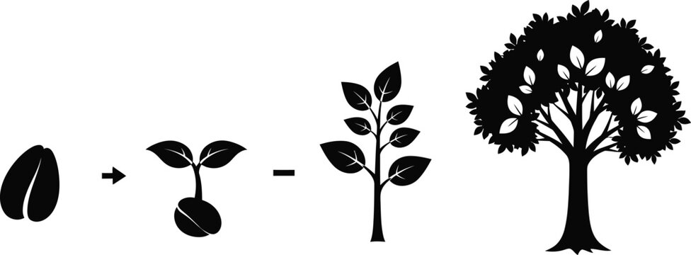 Planting Seeds Metaphor Images  Browse 7,329 Stock Photos, Vectors, and  Video | Adobe Stock