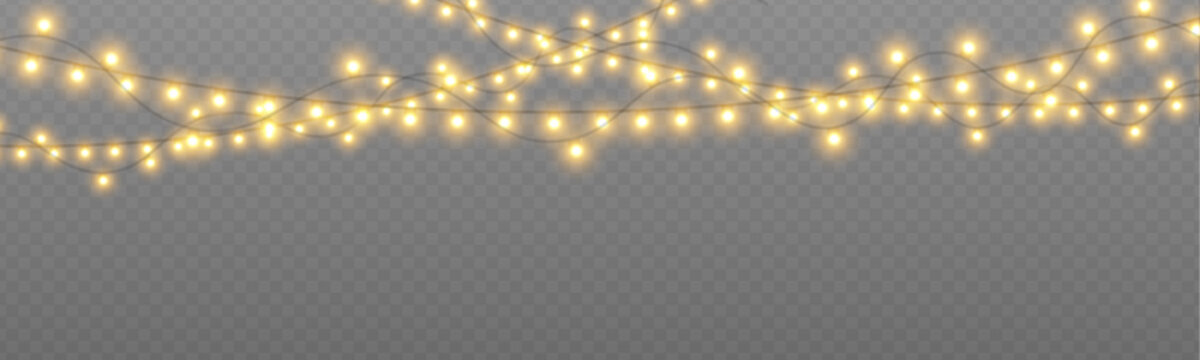 Christmas glowing garland lights isolated on transparent background. Bright bulbs shine with soft festive sparkle. Ideal for web design use.