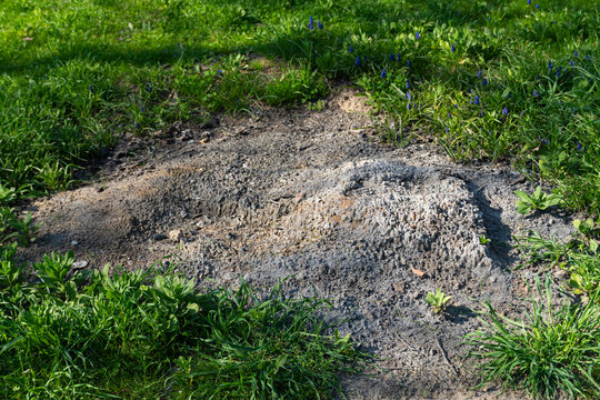 Burnt Ground Patch in Grass, Environmental Damage Concept