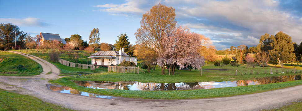 Panorama view of a small farm cottage a spring blossom on fruit trees reflected in a large puddle