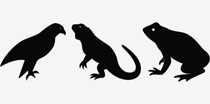 Set of black silhouettes of a bird a lizard and a frog as wild animal icons Vector