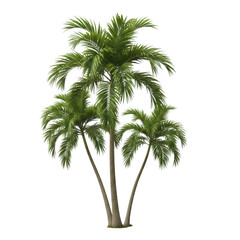 Obraz premium A pair of tall palm trees standing against a white background
