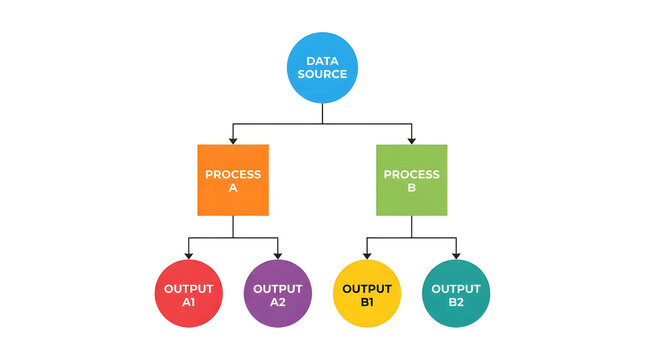 Complex flowchart diagram illustrating data source feeding into two processes with four outputs.